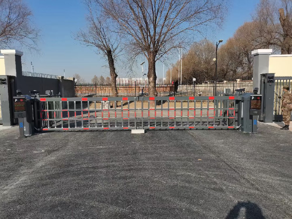 案例展示一